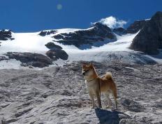 开云体育在线-从24秒到90分钟，体育精神的两种光芒