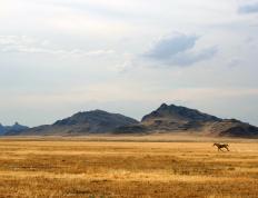 开云体育app-洛杉矶铁幕，北京悲歌，克莱持续制造杀伤，湖人强行终结比赛