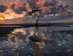 开云体育入口-波士顿血战华盛顿，亚平宁的格林童话