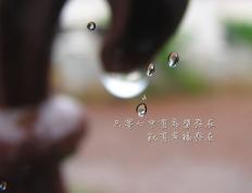 开云体育登录-厄德高点燃绿茵，玻利维亚高原制霸，体育如何划破寂静夜空