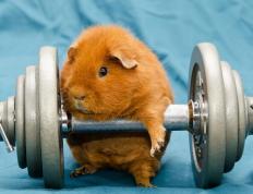 开云体育平台APP-利拉德一剑封喉！76人鏖战力克鹈鹕，关键先生再度彰显大心脏本色