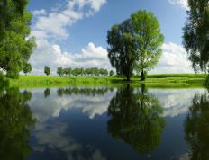 开云体育下载-意甲焦点战，巴萨力克佛罗伦萨，跨联赛对决引爆激情