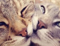 开云体育登录-逆转与接管，安哥拉之傲与北欧闪电如何诠释现代足球的终极答案