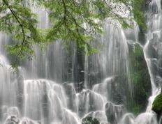 开云体育app-米切尔狂砍40+10打服标靶中心！赛后评分9.9，球迷，他让森林狼防守体系失效