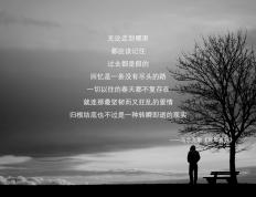 开云体育平台APP-库里节奏掌控如诗，新疆队加时决胜猛龙