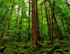 开云体育在线-世纪之辉，当太阳的烈焰熔断钢铁活塞