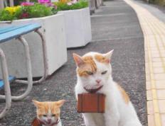 开云体育登录-赛道已清空