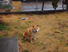 开云体育APP下载-巴尔韦德独造四球引爆全场，厄瓜多尔狂胜显露黑马獠牙