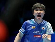 开云官网-波兰队横扫韩国队，张本智和状态火热