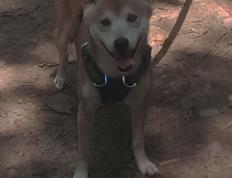 开云体育app-拉梅洛，欧冠决赛夜的魔法与光芒