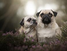 开云体育登录-巴西飓风席卷巴黎！维尼修斯单兵打爆尼日利亚整条防线