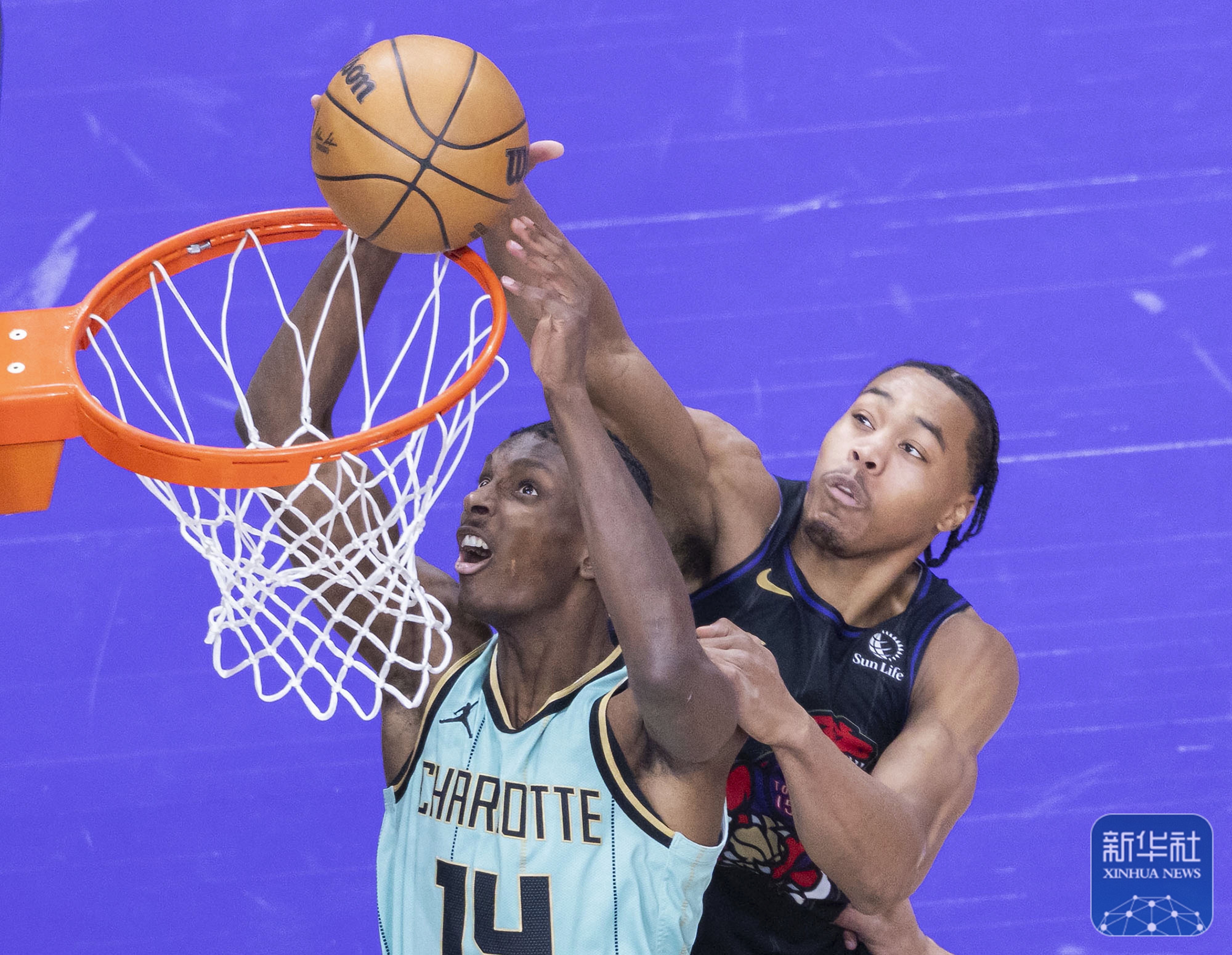 开云体育APP下载-猛龙客场大胜小牛晋级