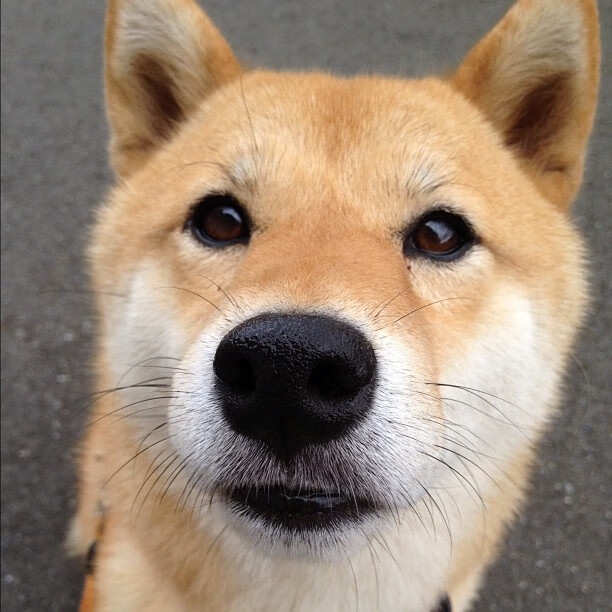 开云体育登录-湖人主场爆冷吉林队，贝恩在美加墨世界杯的接管哲学，强者恒强的幻觉与破碎