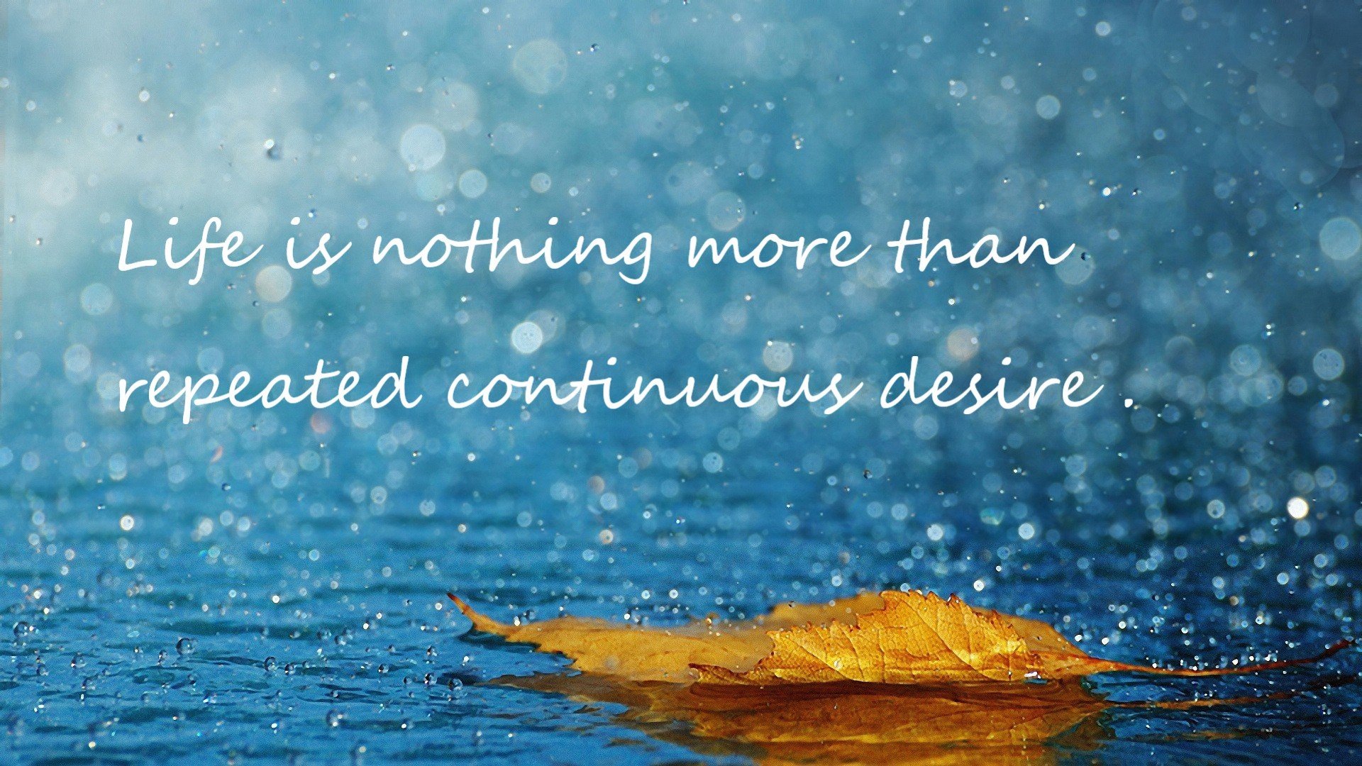 开云体育下载-希腊神兽降临之夜，字母哥用铁血防守将对手拖入绝望深渊