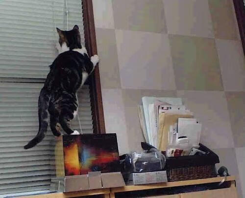 开云下载-联盟新格局,爱德华兹单骑引爆赛场,尼克斯铁血逆转凯尔特人