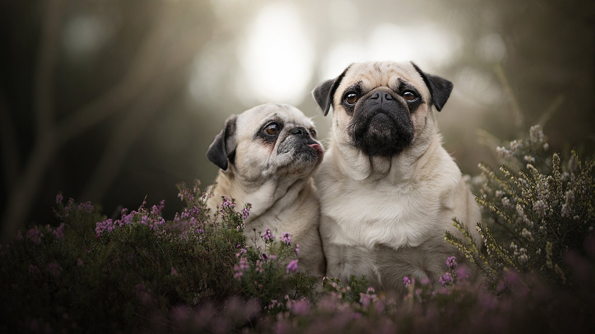 开云体育登录-德甲争冠战焦点战,里昂打穿瑞典的战术启示与联赛震荡