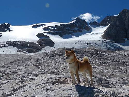 开云体育在线-从24秒到90分钟，体育精神的两种光芒