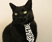 开云APP-双星闪耀赛场,福克斯操控全局,费城末节定乾坤