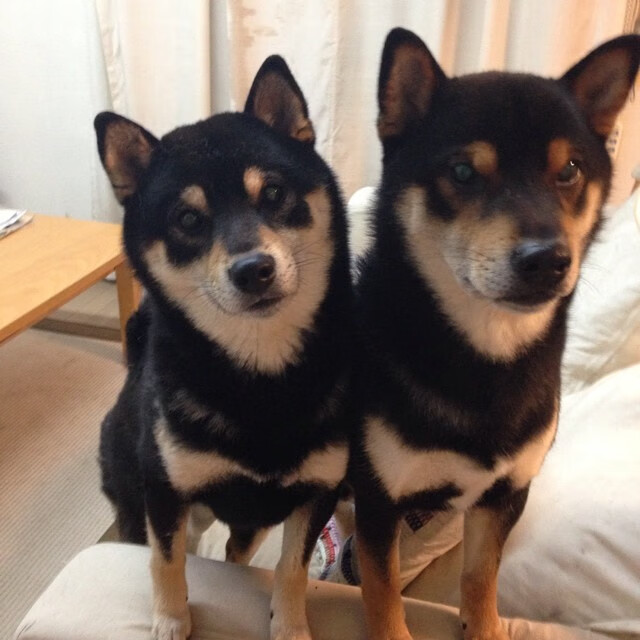 开云体育官方网站-切尔西鏖战抢七，硬仗取胜拉齐奥，晋级之路再添辉煌