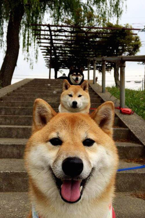 开云平台-跨界英雄，当足球巨星卡塞米罗照亮NBA总决赛之夜