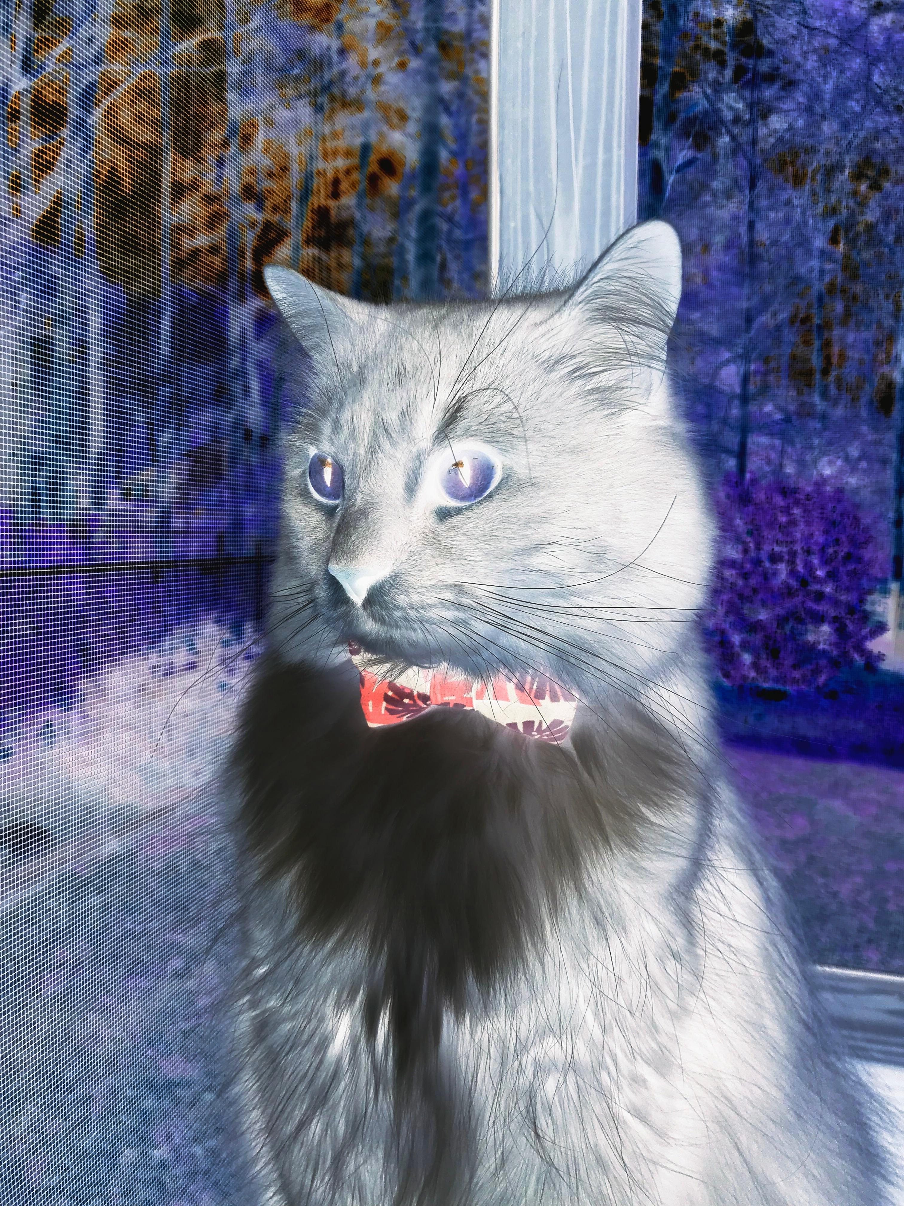 开云体育平台APP-波罗的海的烙印，当巴斯托尼在多特蒙德的黄黑墙前，带领波兰客场取胜