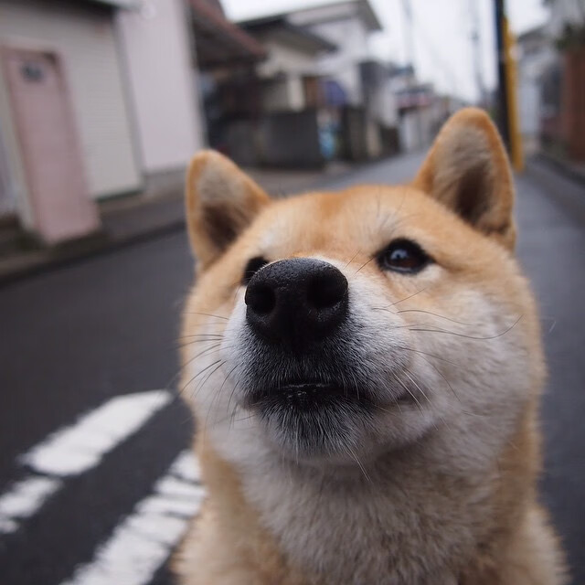 开云体育下载-末节逆转！德国战车力克塞维利亚，布鲁诺闪耀年度焦点之战