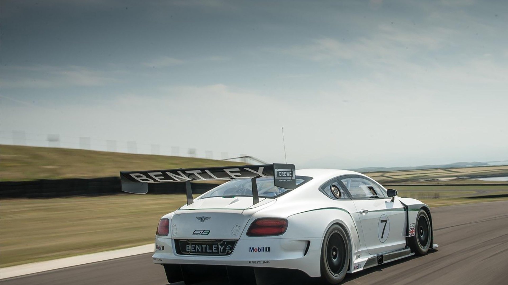 开云体育app-天罗地网摧毁绿军,哈利伯顿登基关键先生