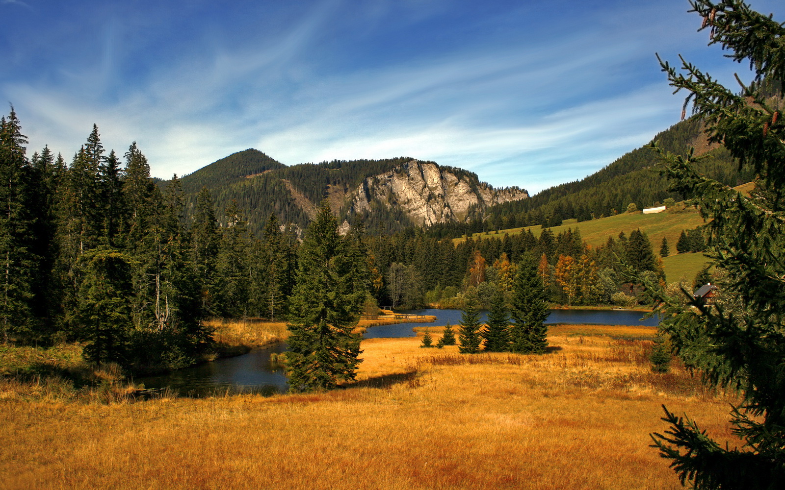 开云体育APP下载-撕裂寂静，拉梅洛在美加墨之夜的终极正名