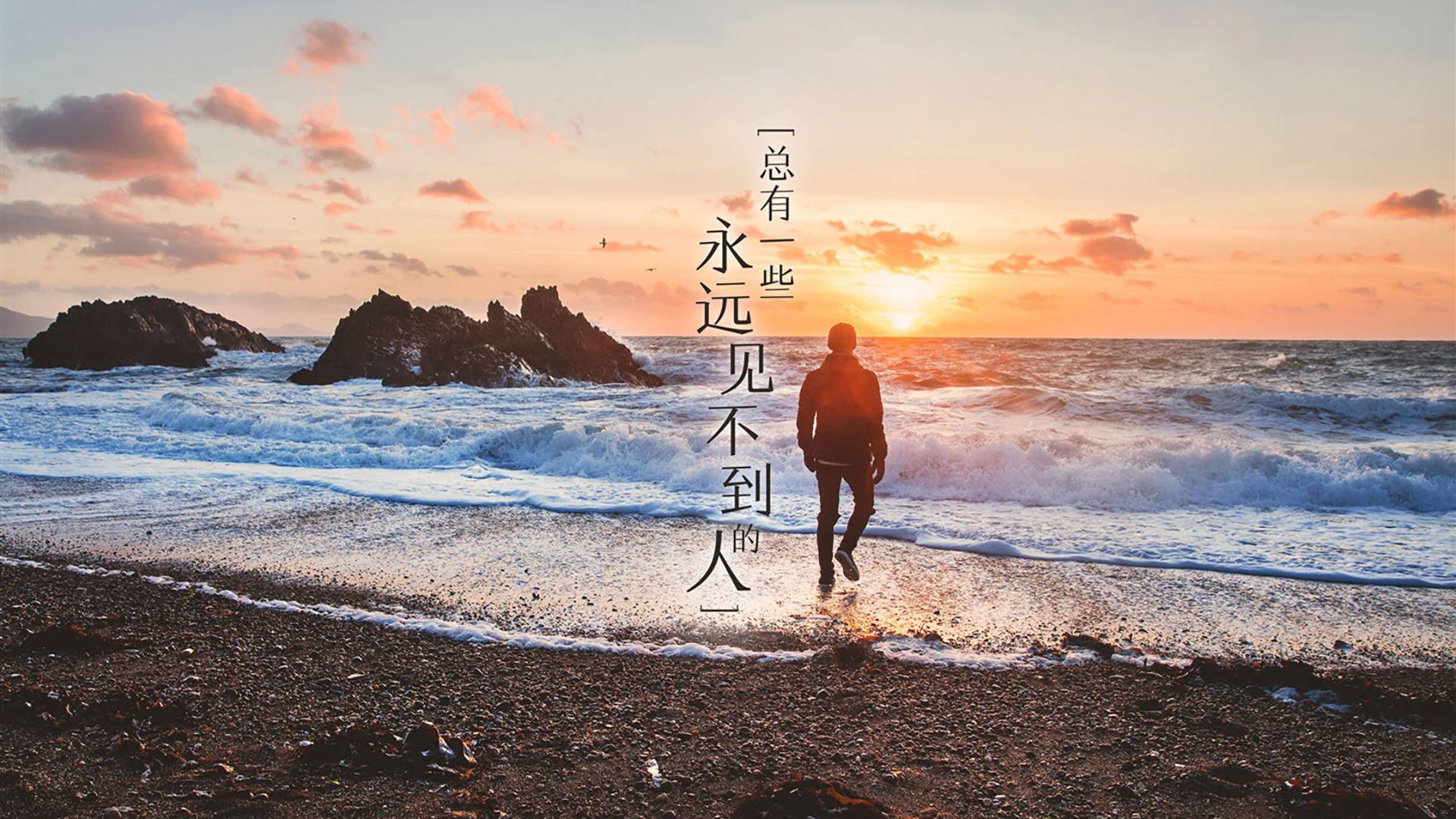 开云下载-太阳淘汰鹈鹕过关，东决关键战成焦点—NBA季后赛深度解析